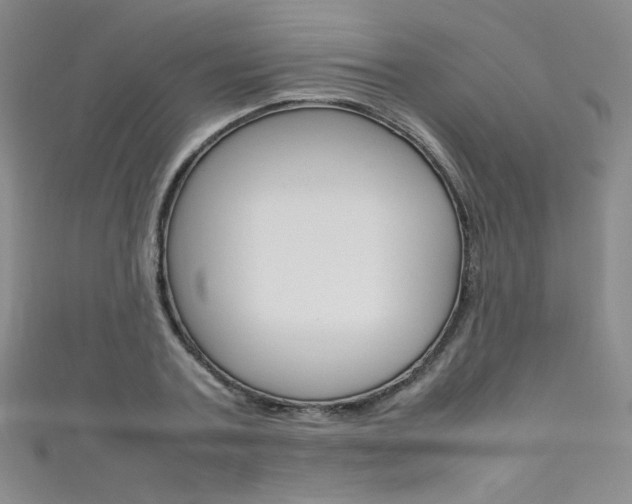 X0000111660787200907171118