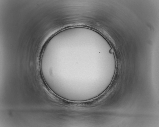 X0000111660789200907171118