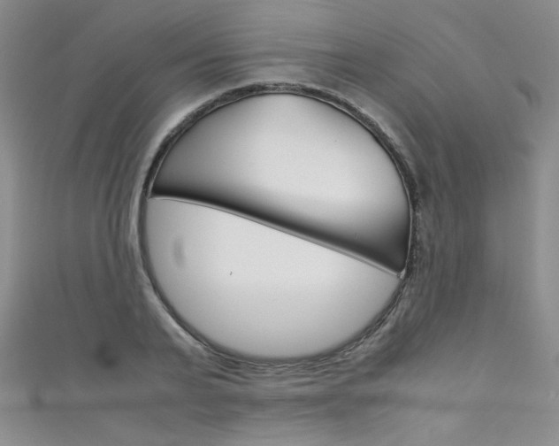 X0000111660791200907171118