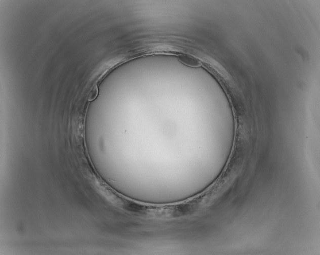 X0000111660793200907171118