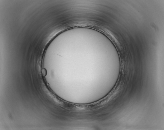 X0000111660794200907171118