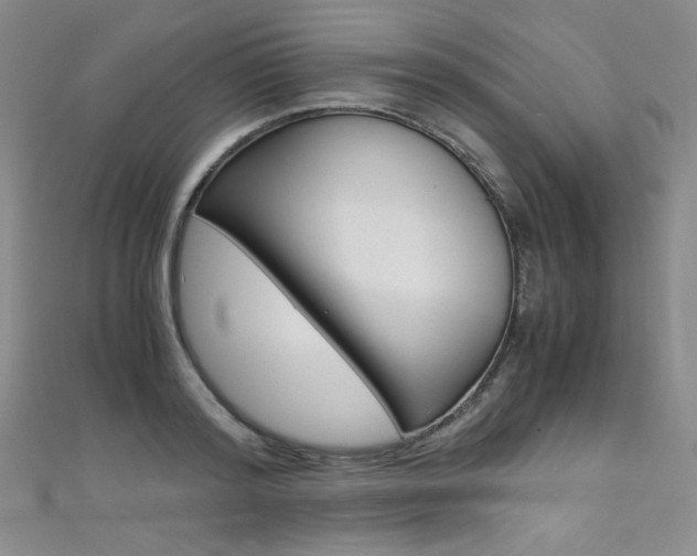 X0000111660796200907171118