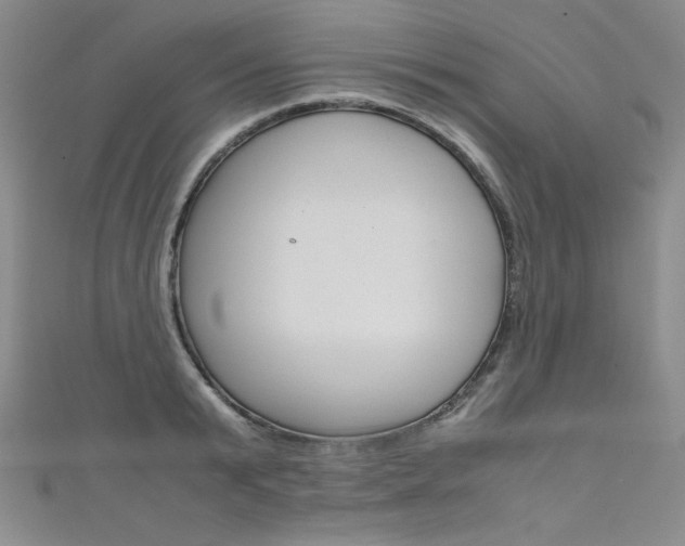 X0000111660799200907171118