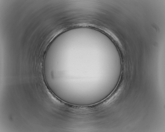 X0000111660801200907171118