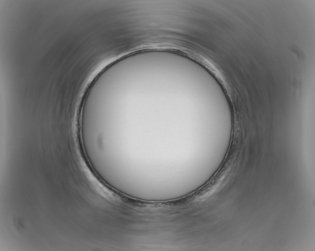 X0000111660803200907171118