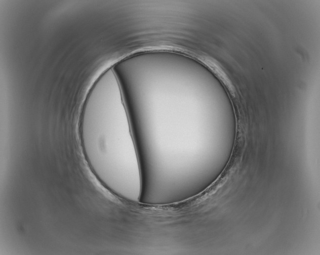 X0000111660805200907171118