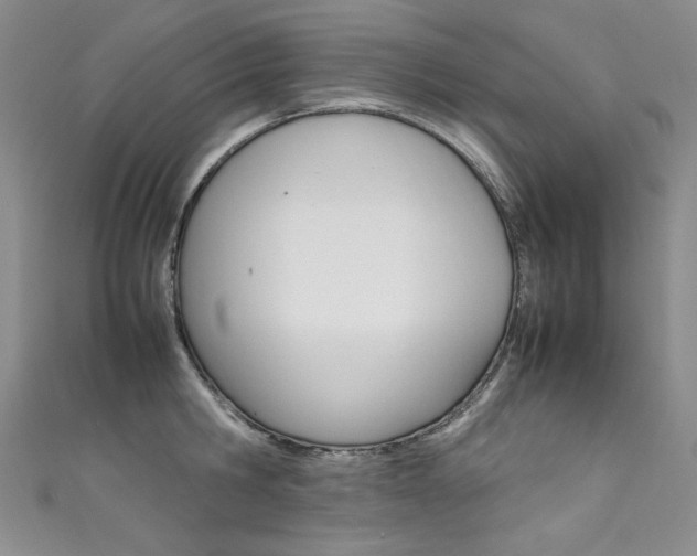X0000111660806200907171118