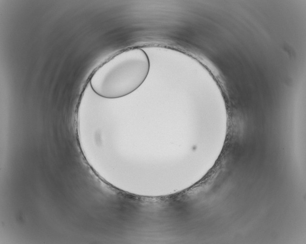 X0000111660807200907171118