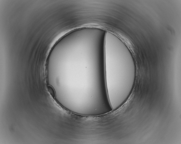 X0000111660808200907171118