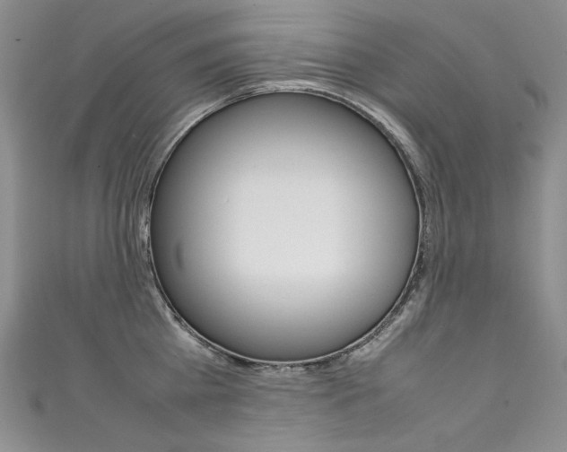X0000111660809200907171118