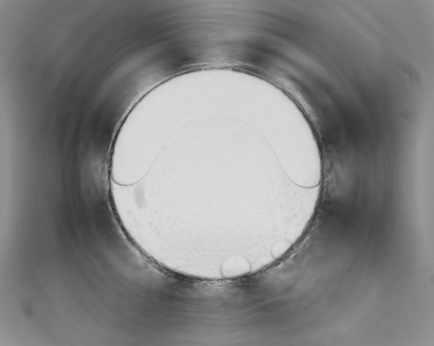 X0000111660810200907171118