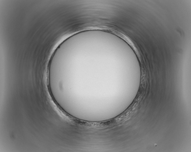 X0000111660811200907171118