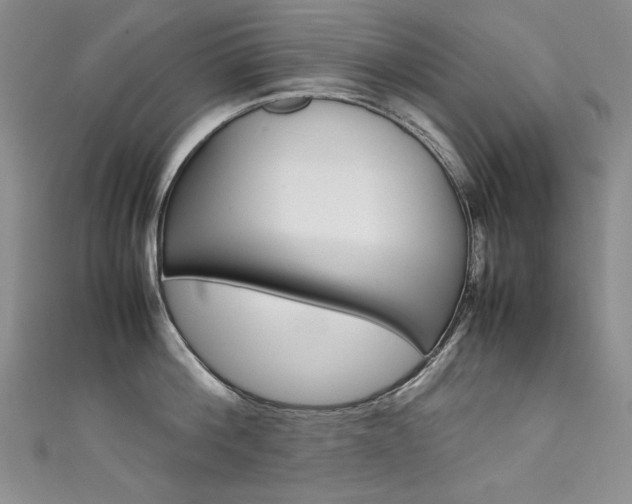 X0000111660812200907171118