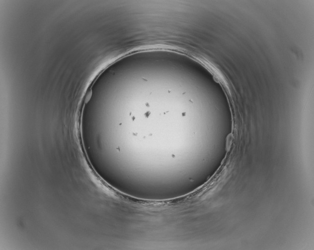 X0000111660813200907171118