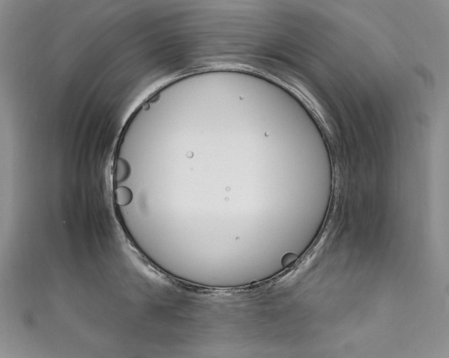 X0000111660814200907171118