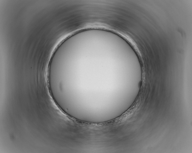 X0000111660815200907171118