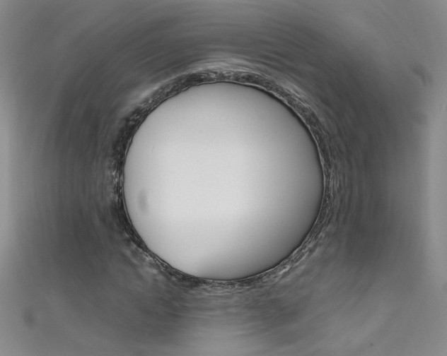 X0000111660822200907171117