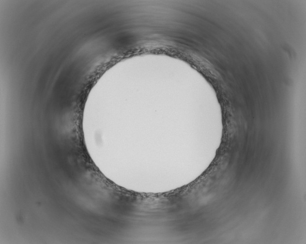 X0000111660824200907171117
