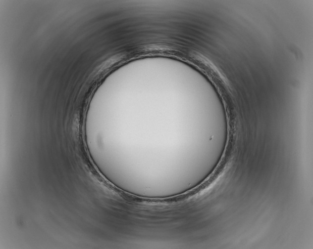 X0000111660825200907171117
