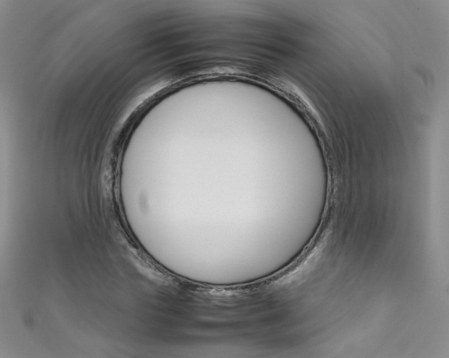 X0000111660827200907171117