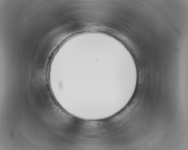 X0000111660828200907171117