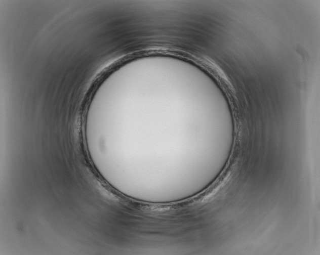 X0000111660831200907171117
