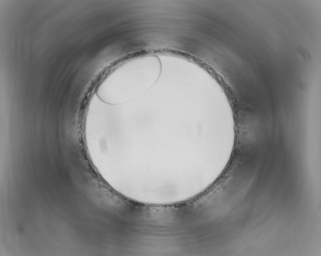 X0000111660832200907171117