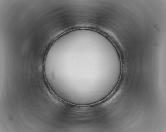 X0000111660833200907171117