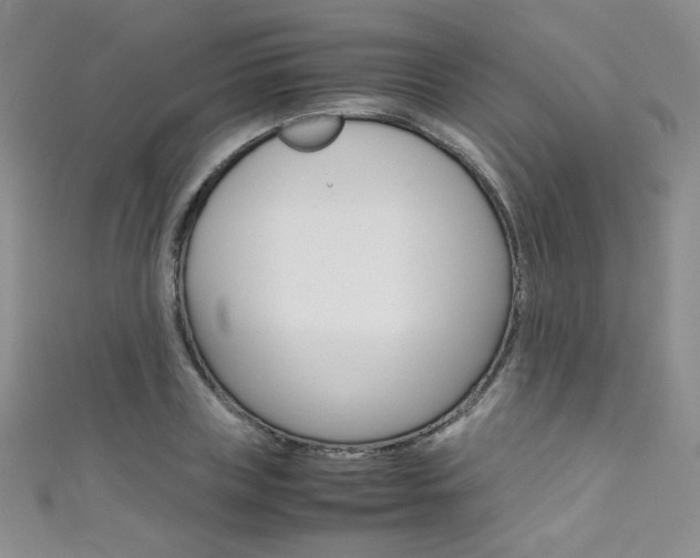 X0000111660835200907171117