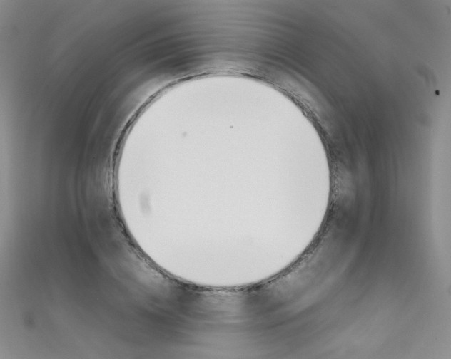 X0000111660836200907171118