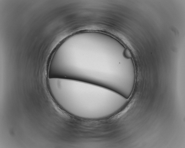 X0000111660837200907171118