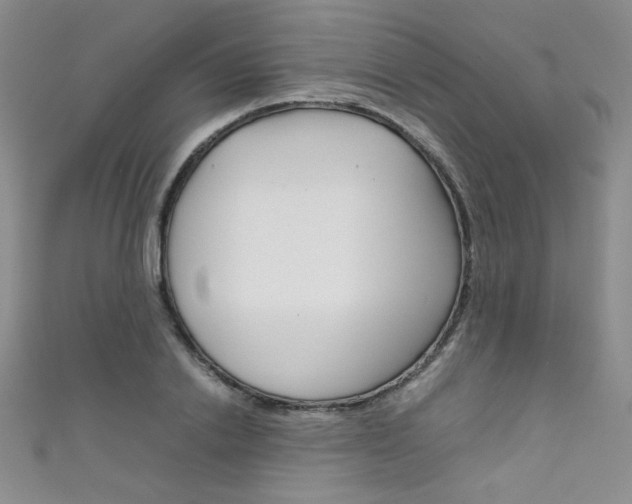 X0000111660838200907171118