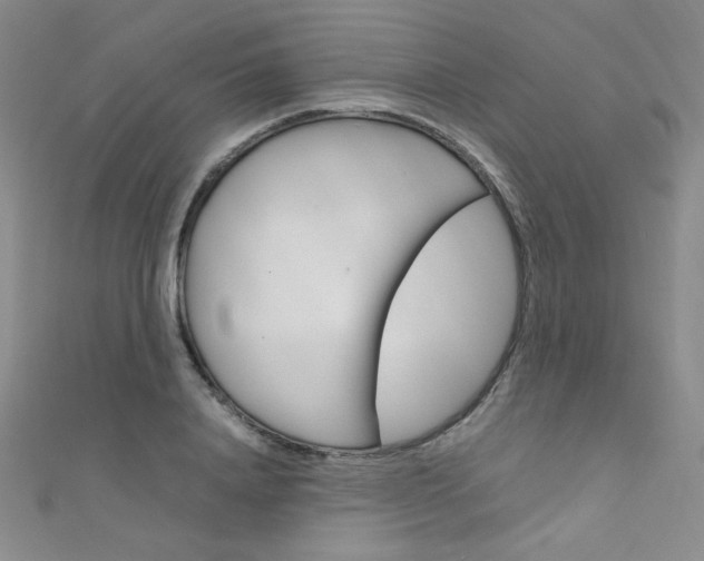 X0000111660840200907171118