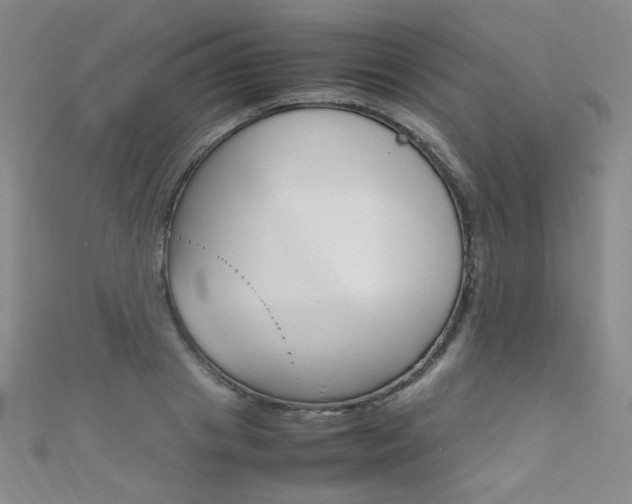 X0000111660841200907171118