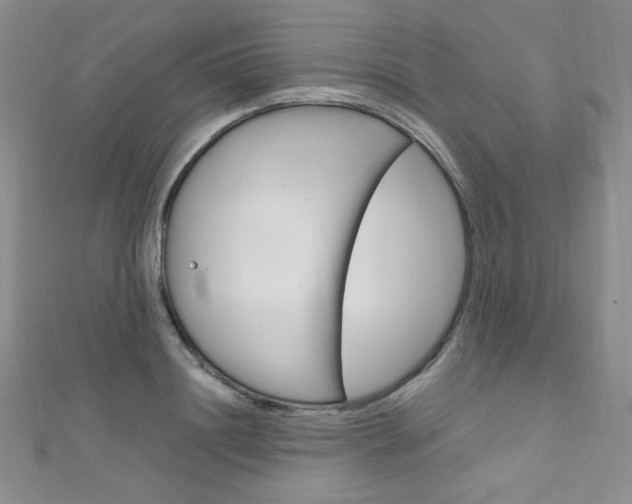 X0000111660844200907171118