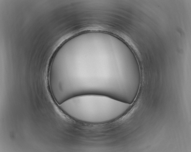 X0000111660845200907171118