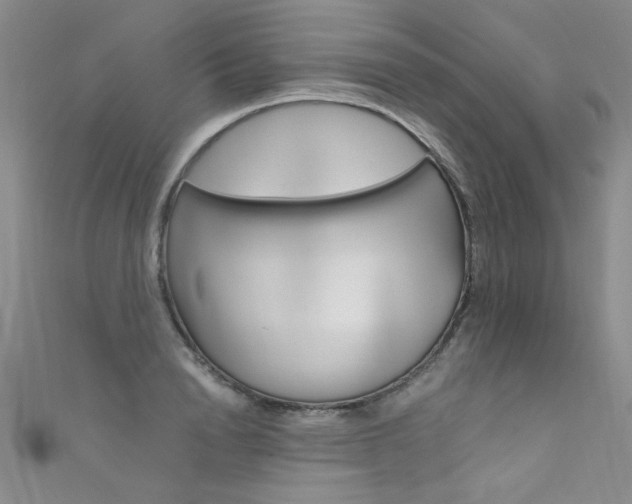 X0000111660846200907171118