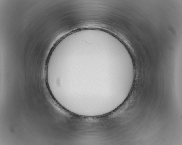 X0000111660848200907171118