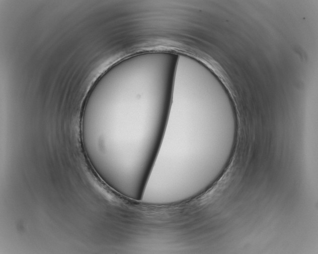 X0000111660850200907171118