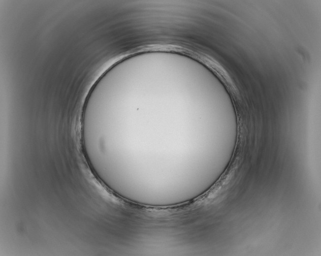 X0000111660852200907171118