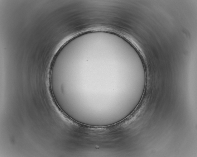 X0000111660853200907171118