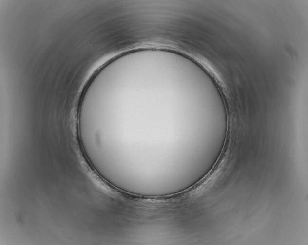 X0000111660854200907171118