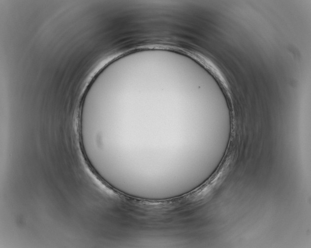 X0000111660855200907171118
