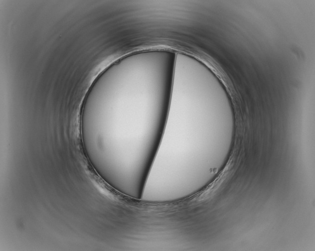 X0000111660858200907171118