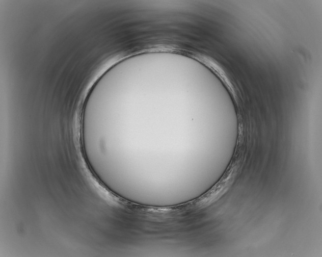 X0000111660859200907171118
