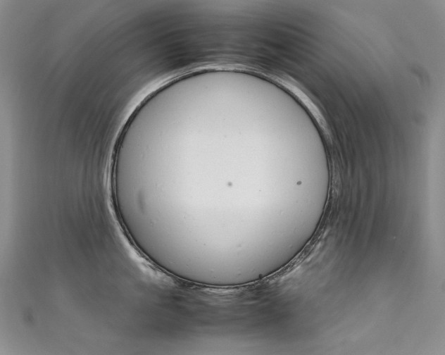 X0000111660861200907171118