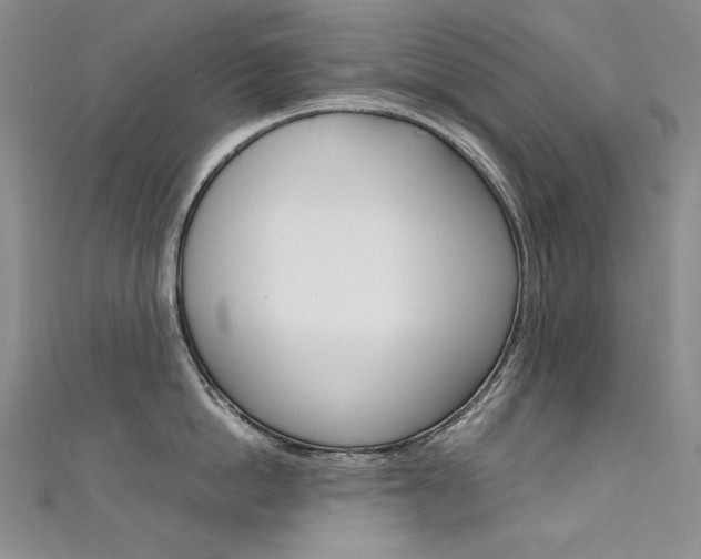 X0000111660862200907171118