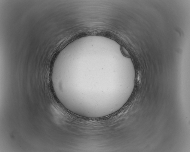 X0000111660867200907171117