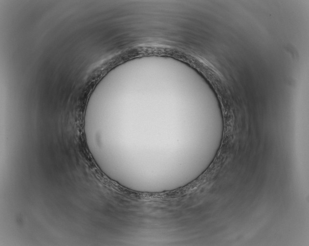 X0000111660870200907171117