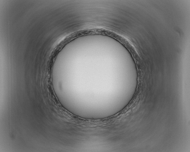 X0000111660871200907171117